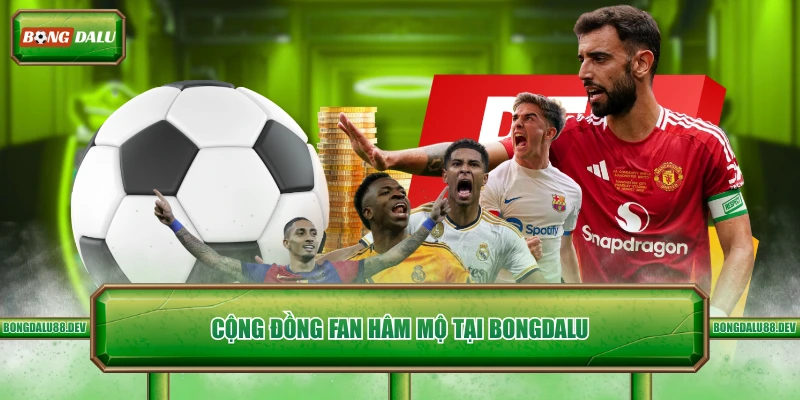 Cộng đồng fan hâm mộ tại Bongdalu