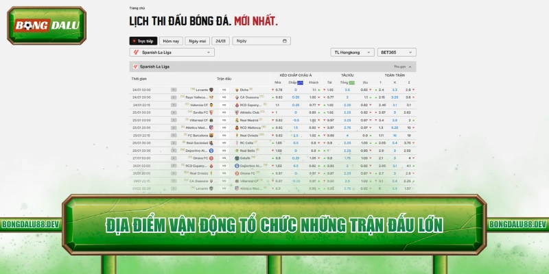 Địa điểm vận động tổ chức những trận đấu lớn